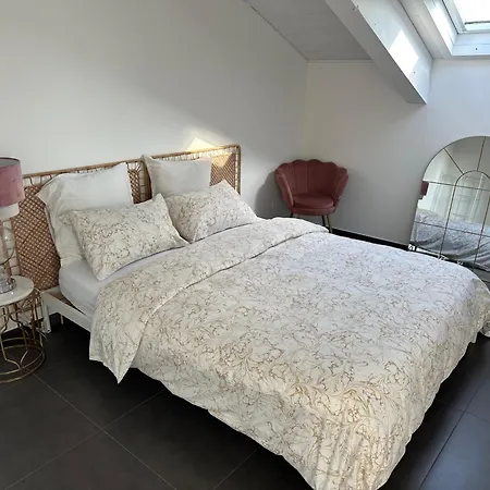 Attico Con Terrazzo Vista Citta Turin